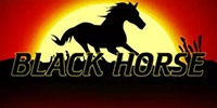 black-horse